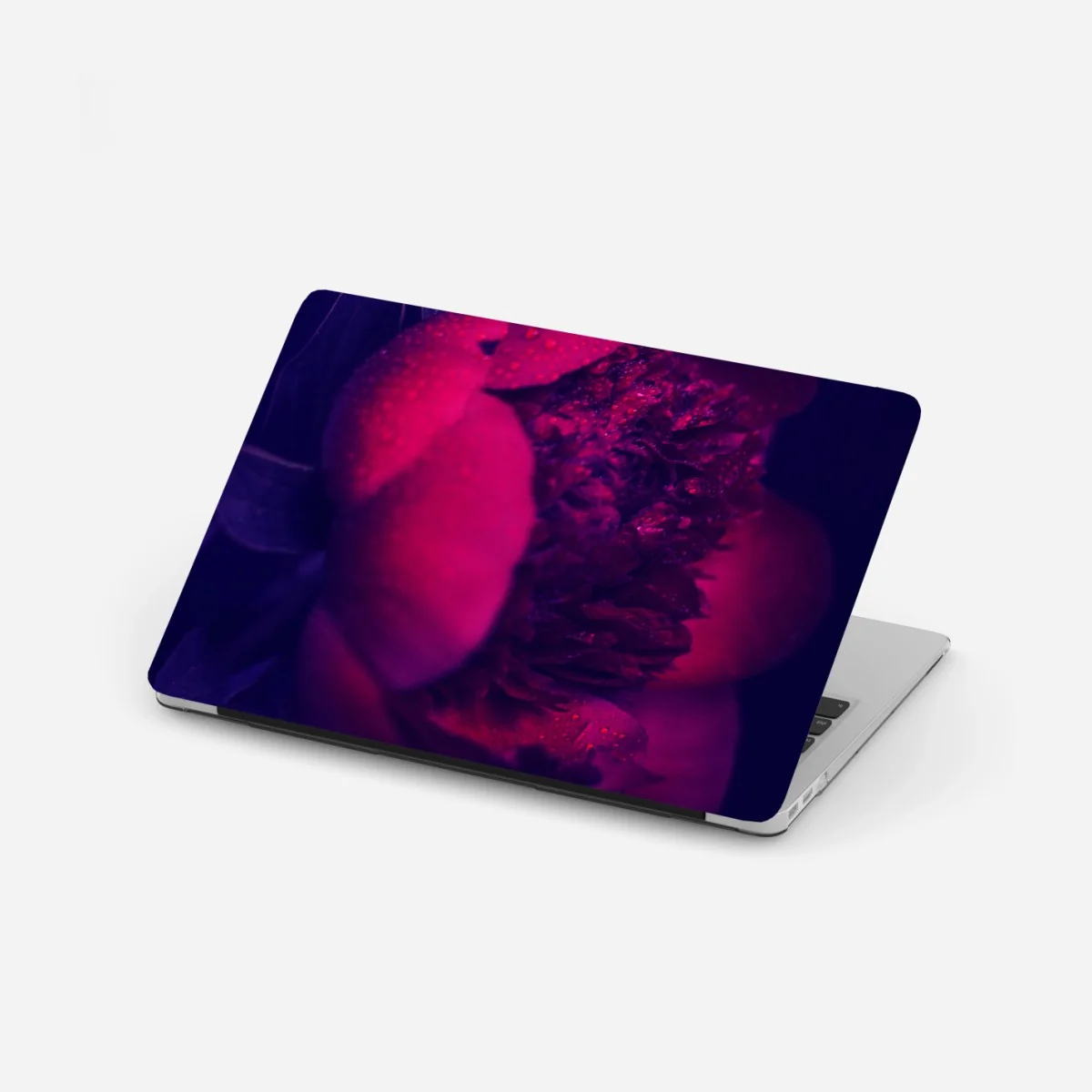 Naklejka na laptopa nastrojowa różowa piwonia zbliżenie – Wallissimo® Naklejka na laptopa nastrojowa różowa piwonia zbliżenie – Wallissimo®