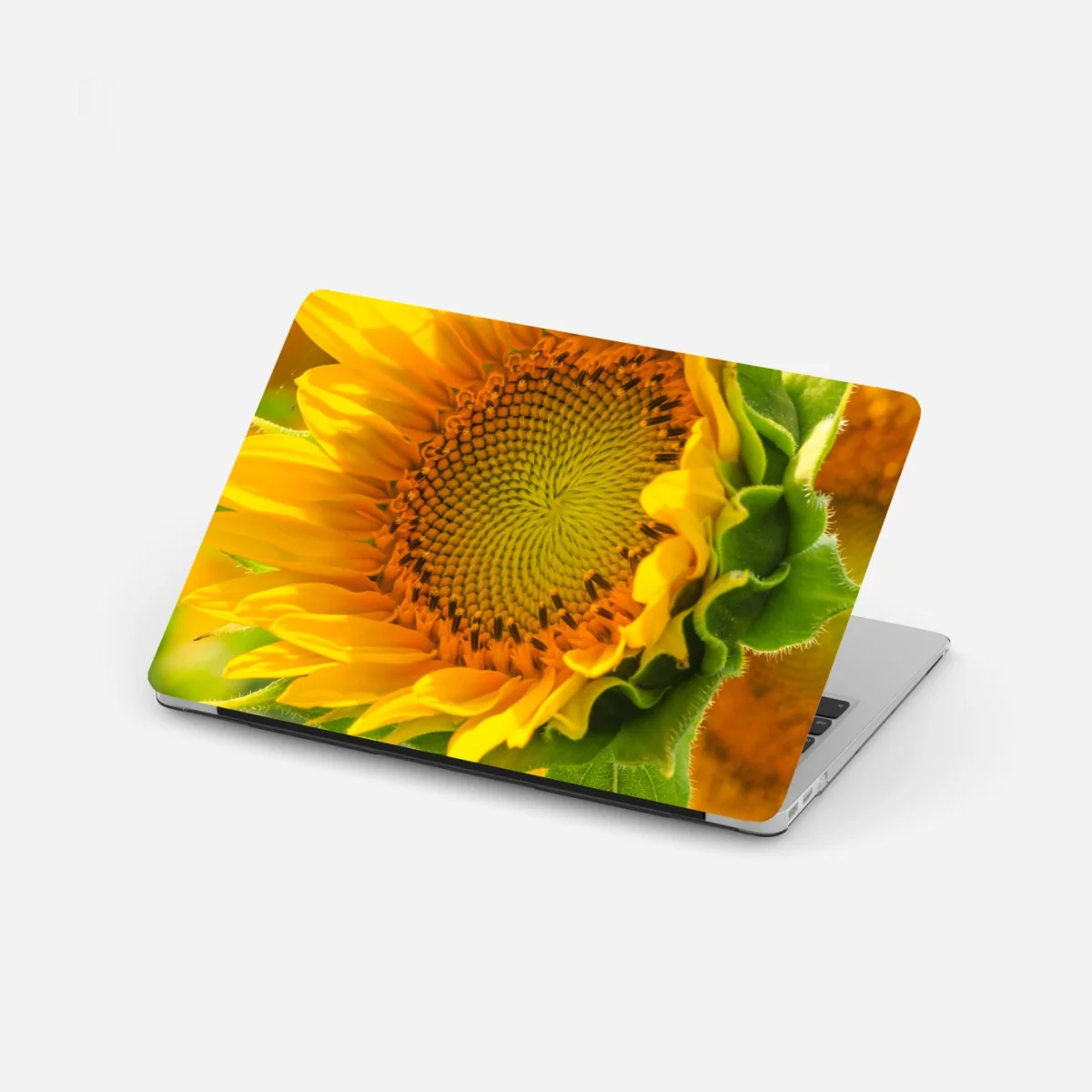 Naklejka na laptopa zbliżenie słonecznika – Wallissimo® Naklejka na laptopa zbliżenie słonecznika – Wallissimo®