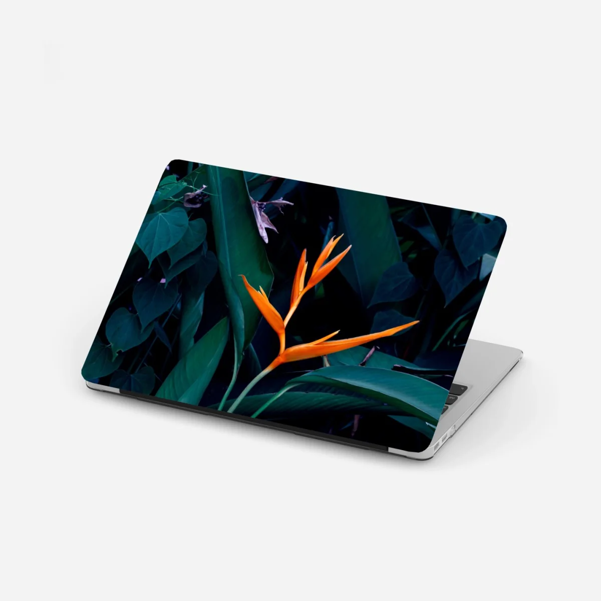 Naklejka na laptopa żywa strelicja na tle ciemnozielonych liści – Wallissimo® Naklejka na laptopa żywa strelicja na tle ciemnozielonych liści – Wallissimo®