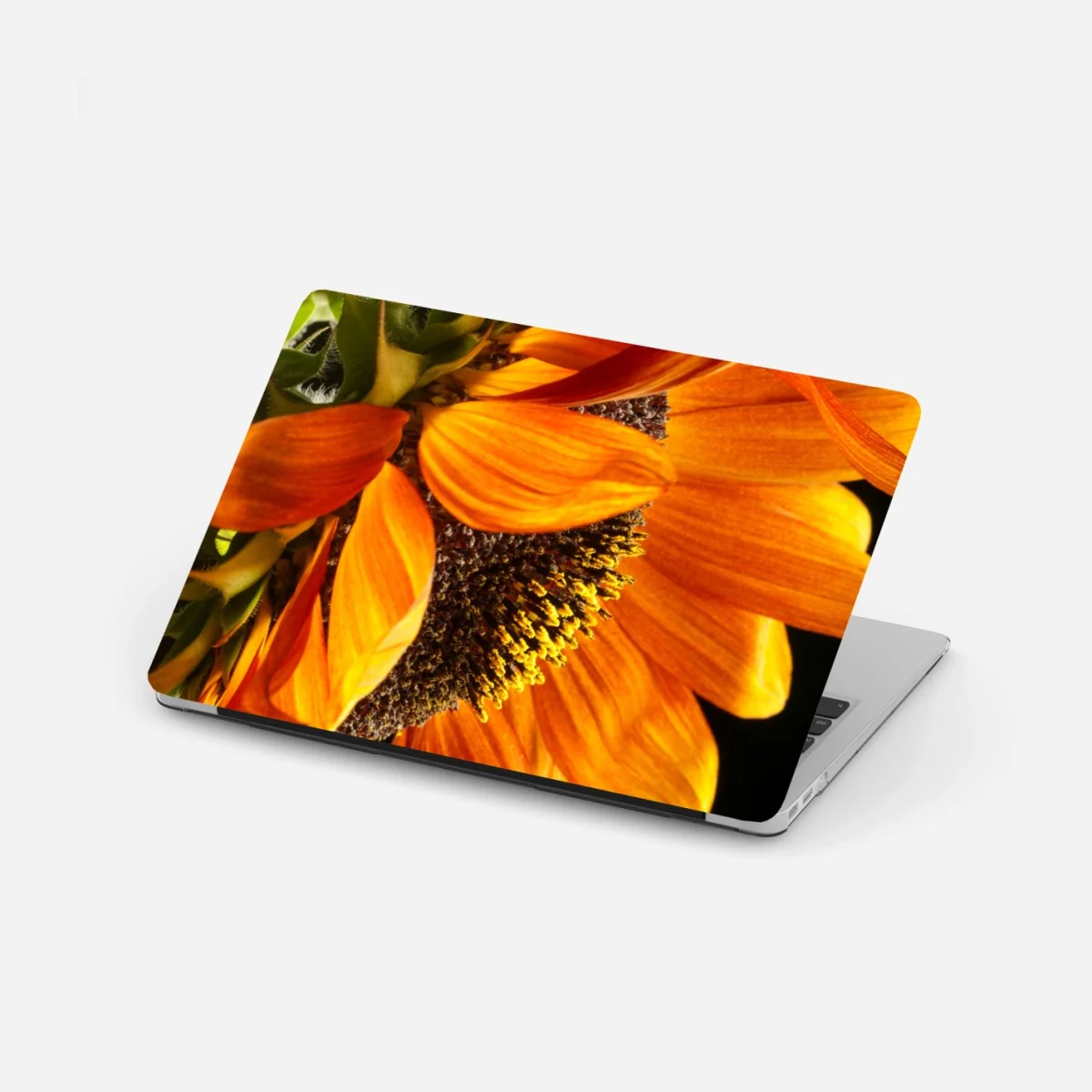 Naklejka na laptopa intensywny pomarańczowy słonecznik zbliżenie – Wallissimo® Naklejka na laptopa intensywny pomarańczowy słonecznik zbliżenie – Wallissimo®