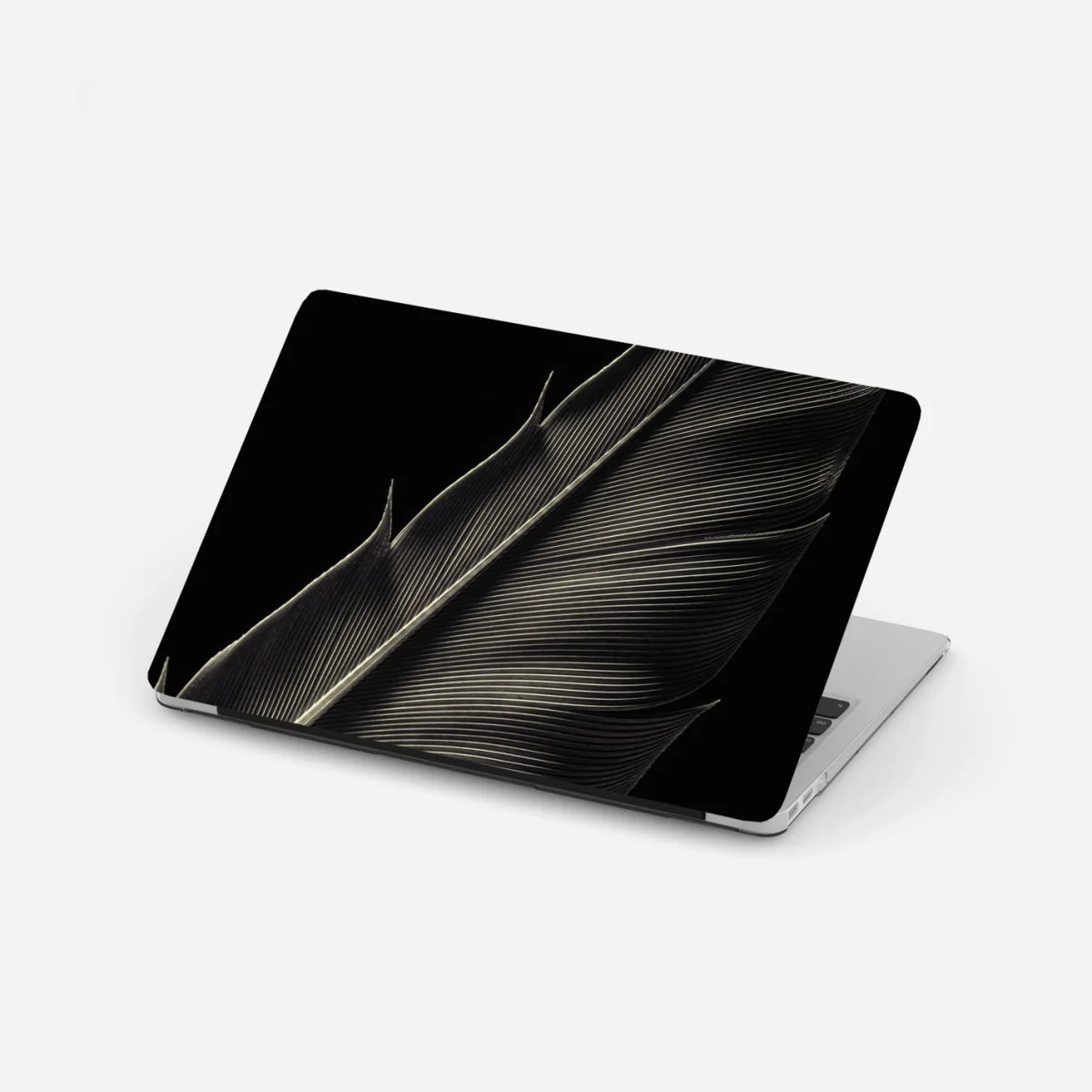 Naklejka na laptopa delikatne pióro w makrofotografii – Wallissimo® Naklejka na laptopa delikatne pióro w makrofotografii – Wallissimo®