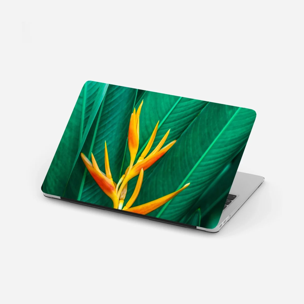 Naklejka na laptopa intensywny tropikalny ptak rajski na zielonych liściach – Wallissimo® Naklejka na laptopa intensywny tropikalny ptak rajski na zielonych liściach – Wallissimo®