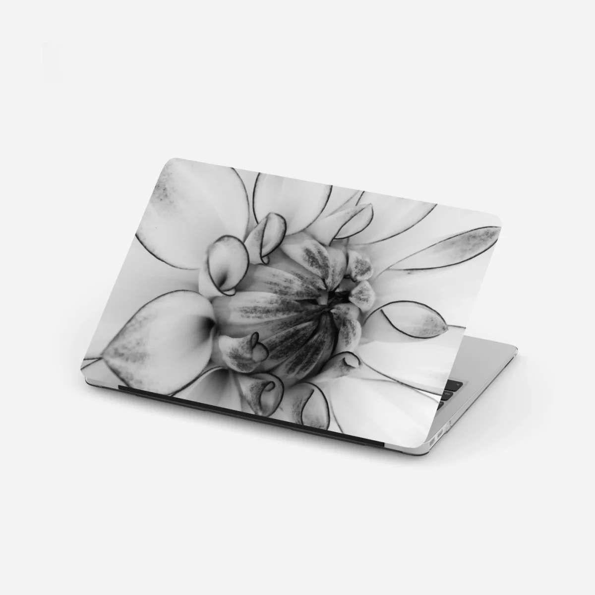 Naklejka na laptopa monochromatyczne zbliżenie dalii – Wallissimo® Naklejka na laptopa monochromatyczne zbliżenie dalii – Wallissimo®