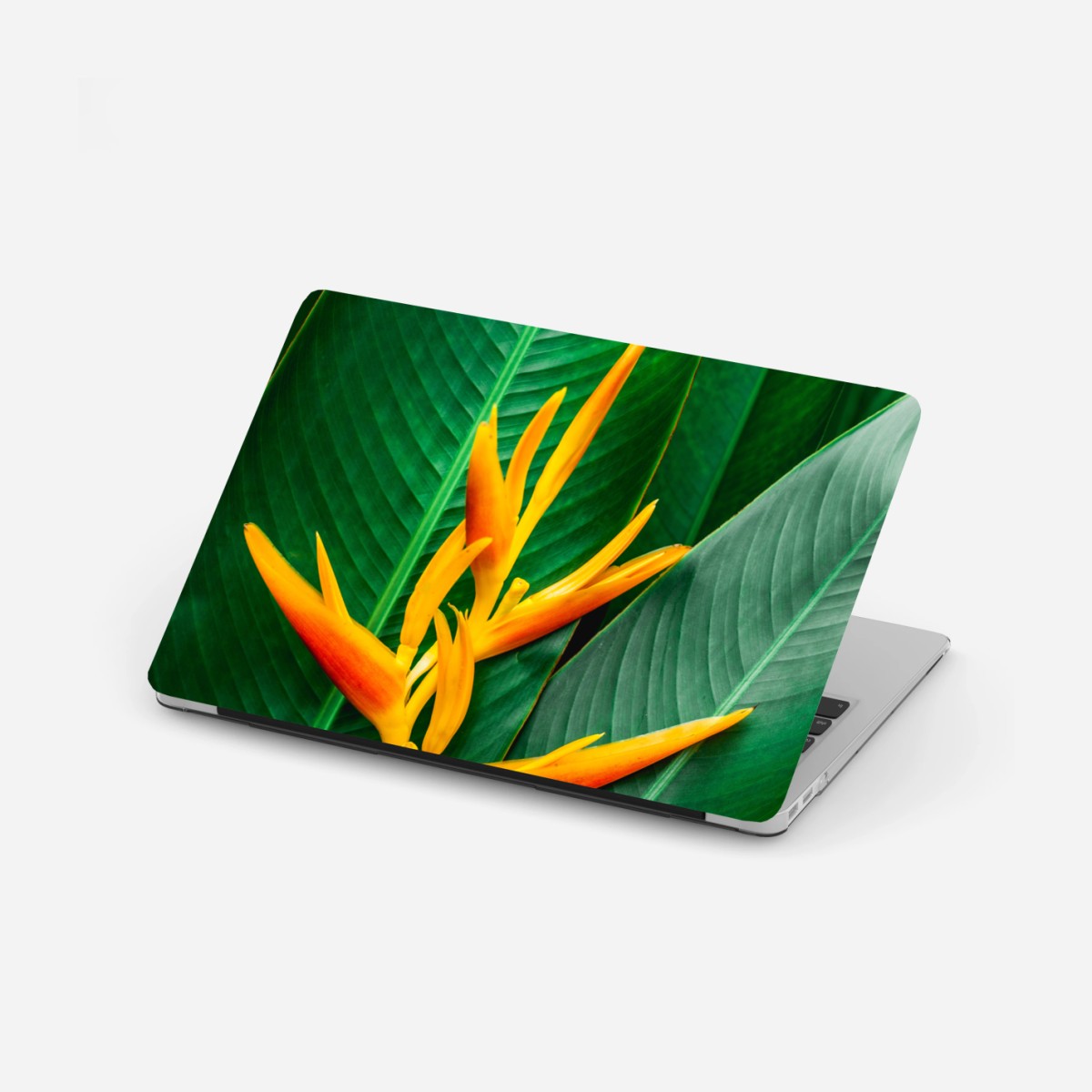 Naklejka na laptopa żywa heliconia na zielonych liściach – Wallissimo®