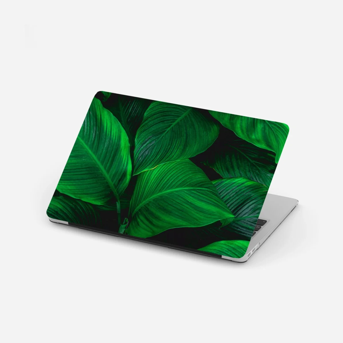 Naklejka na laptopa bujne tropikalne liście – Wallissimo® Naklejka na laptopa bujne tropikalne liście – Wallissimo®