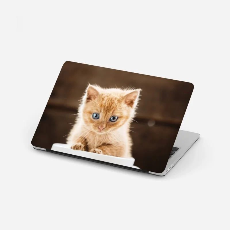 Naklejka na laptopa zimowy spokój w Karpatach – Wallissimo®