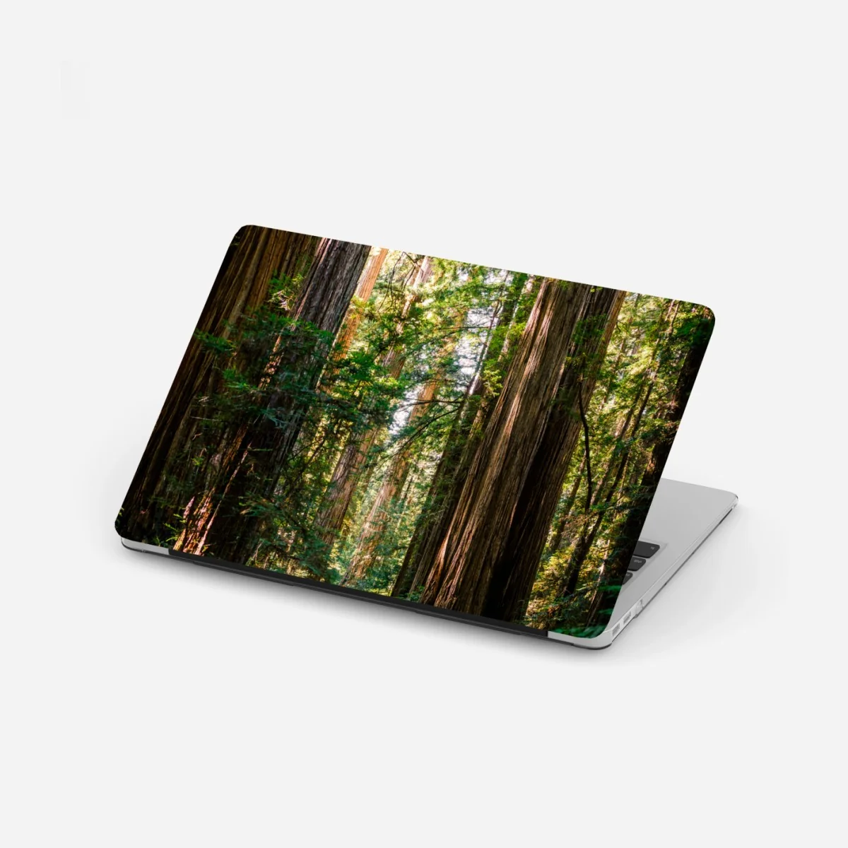 Naklejka na laptopa majestatyczna ścieżka w lesie sekwoi – Wallissimo® Naklejka na laptopa majestatyczna ścieżka w lesie sekwoi – Wallissimo®