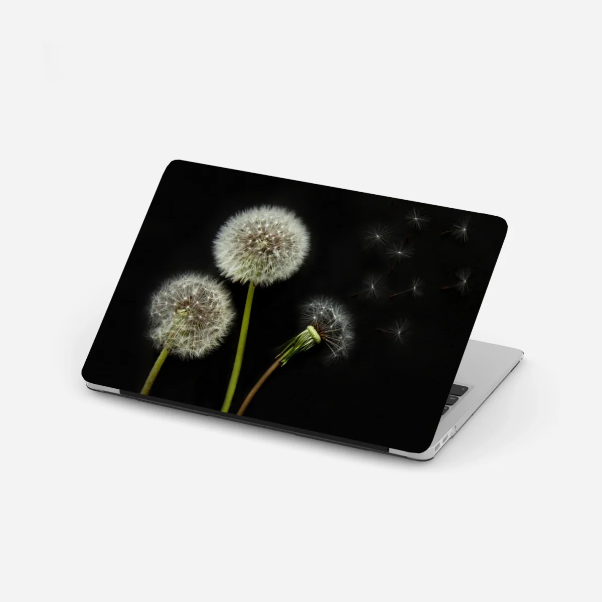 Naklejka na laptopa delikatne główki mniszka na czarnym tle – Wallissimo® Naklejka na laptopa delikatne główki mniszka na czarnym tle – Wallissimo®