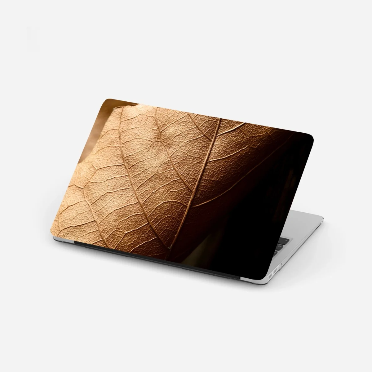 Naklejka na laptopa tekstura suchego liścia w zbliżeniu – Wallissimo®