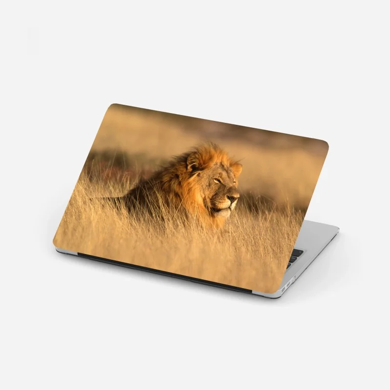 Naklejka na laptopa Myrtle Beach zachód słońca z diabelskim młynem – Wallissimo®