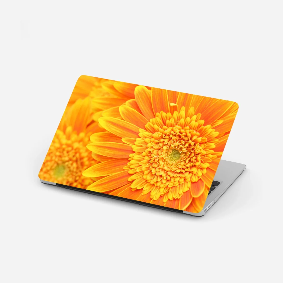 Naklejka na laptopa intensywna pomarańczowa gerbera z bliska – Wallissimo® Naklejka na laptopa intensywna pomarańczowa gerbera z bliska – Wallissimo®