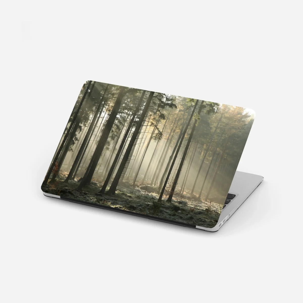 Naklejka na laptopa mglisty poranek w lesie z promieniami słońca – Wallissimo® Naklejka na laptopa mglisty poranek w lesie z promieniami słońca – Wallissimo®