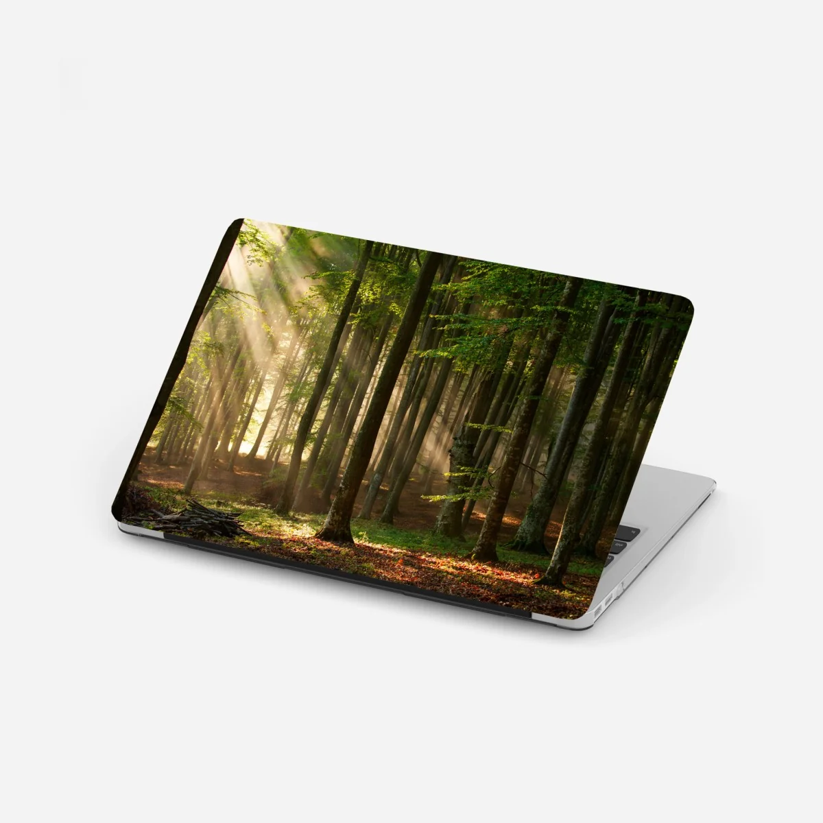 Naklejka na laptopa poranne światło w lesie bukowym – Wallissimo® Naklejka na laptopa poranne światło w lesie bukowym – Wallissimo®