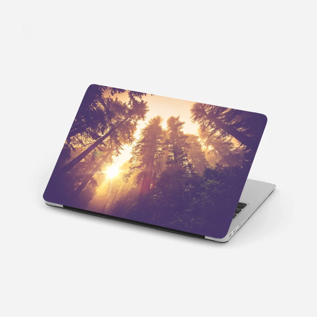 Naklejka na laptopa mglisty las sekwojowy w złotych vintage tonacjach – Wallissimo® Naklejka na laptopa mglisty las sekwojowy w złotych vintage tonacjach – Wallissimo®