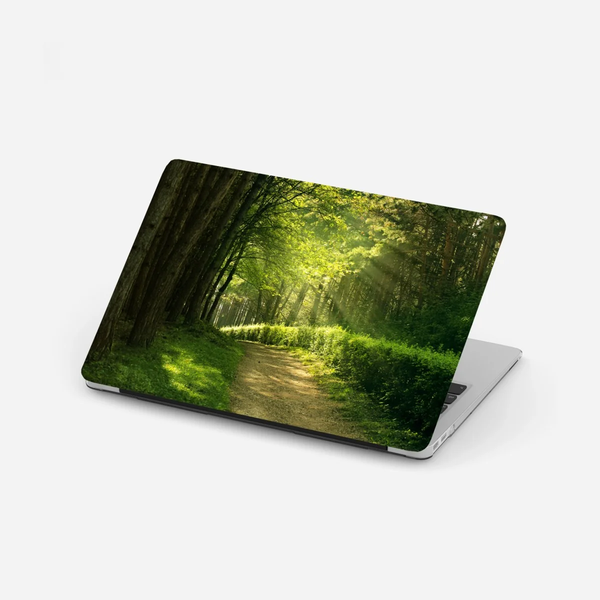 Naklejka na laptopa słoneczna leśna ścieżka w zieleni – Wallissimo® Naklejka na laptopa słoneczna leśna ścieżka w zieleni – Wallissimo®