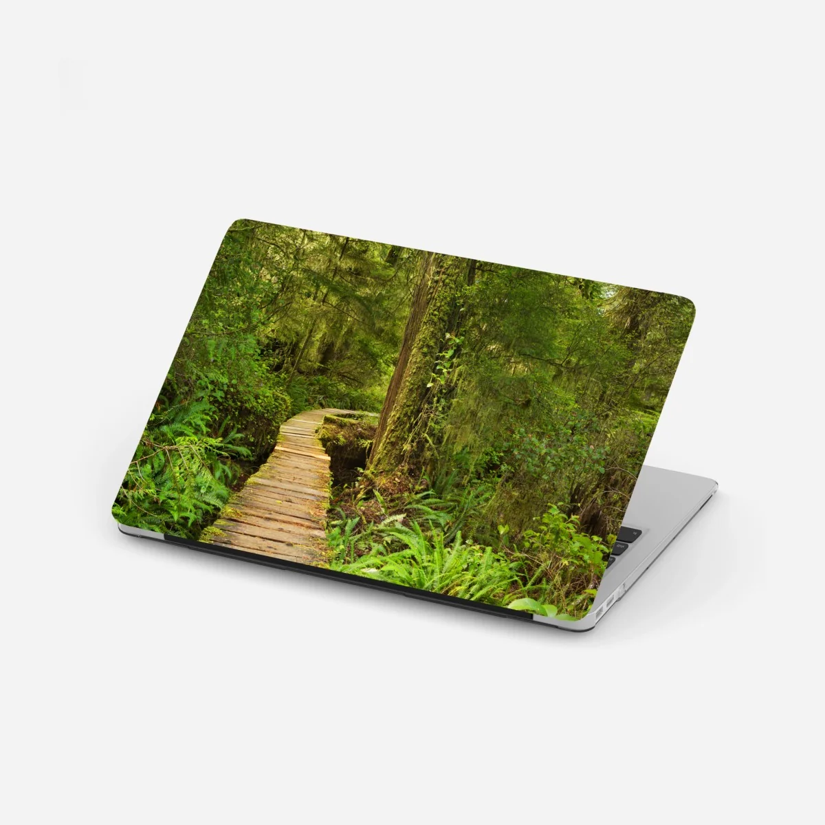 Naklejka na laptopa pomost w lesie deszczowym Pacific Rim – Wallissimo® Naklejka na laptopa pomost w lesie deszczowym Pacific Rim – Wallissimo®