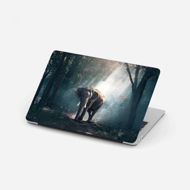 Naklejka na laptopa zbliżenie pola lawendy – Wallissimo®