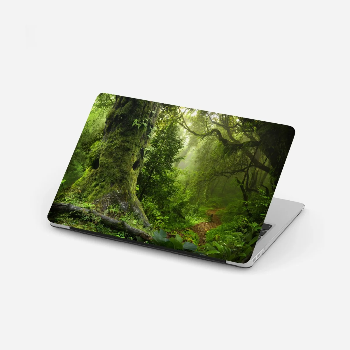 Naklejka na laptopa stara leśna ścieżka – Wallissimo® Naklejka na laptopa stara leśna ścieżka – Wallissimo®