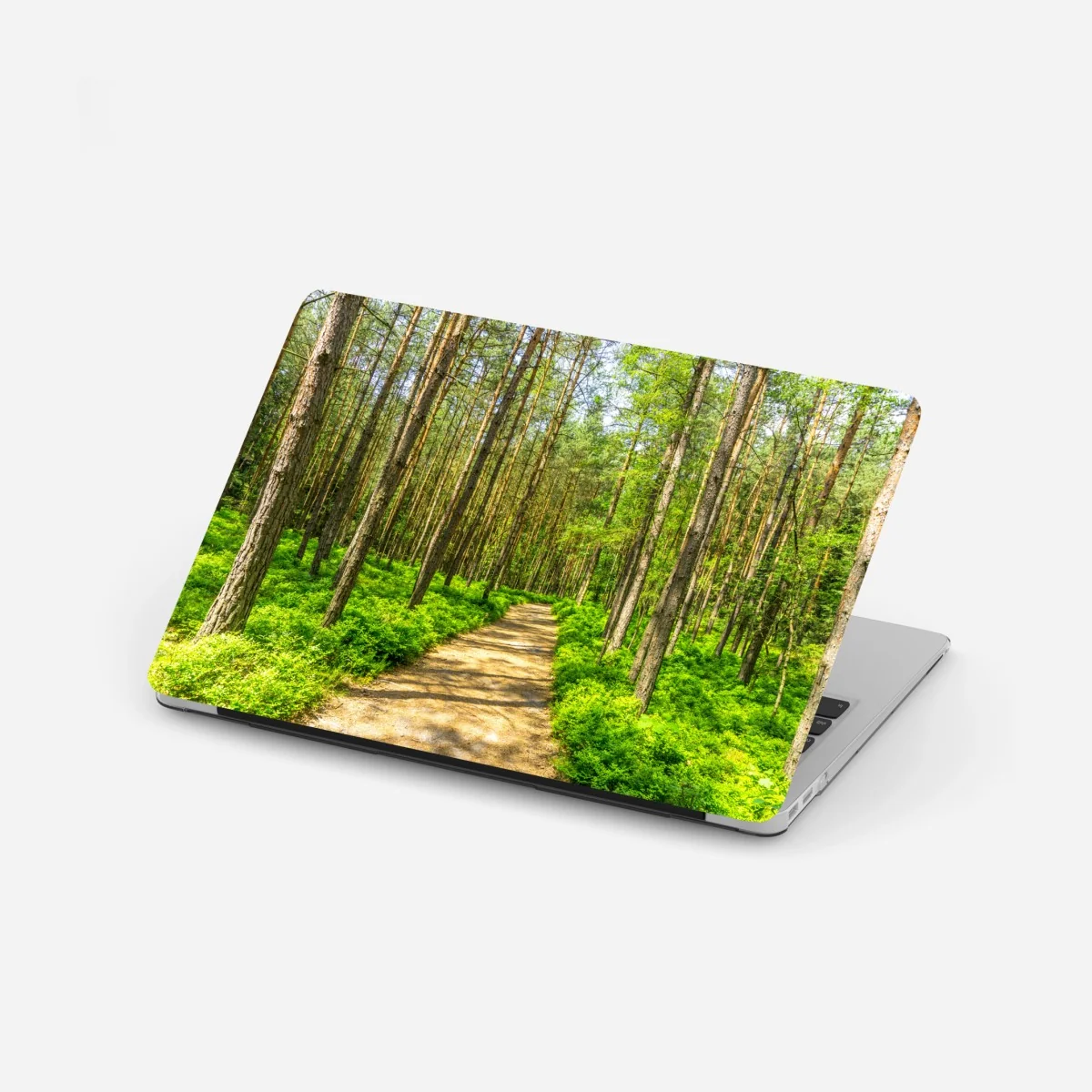 Naklejka na laptopa słoneczna leśna ścieżka wśród sosen – Wallissimo® Naklejka na laptopa słoneczna leśna ścieżka wśród sosen – Wallissimo®