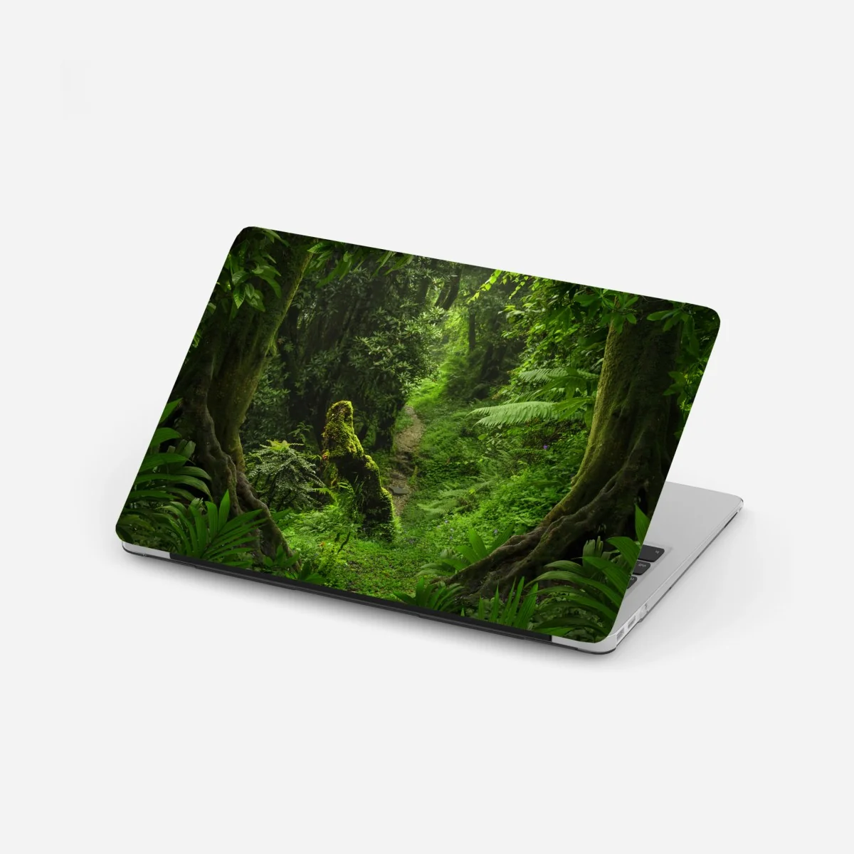 Naklejka na laptopa zaczarowana mszysta leśna ścieżka – Wallissimo® Naklejka na laptopa zaczarowana mszysta leśna ścieżka – Wallissimo®