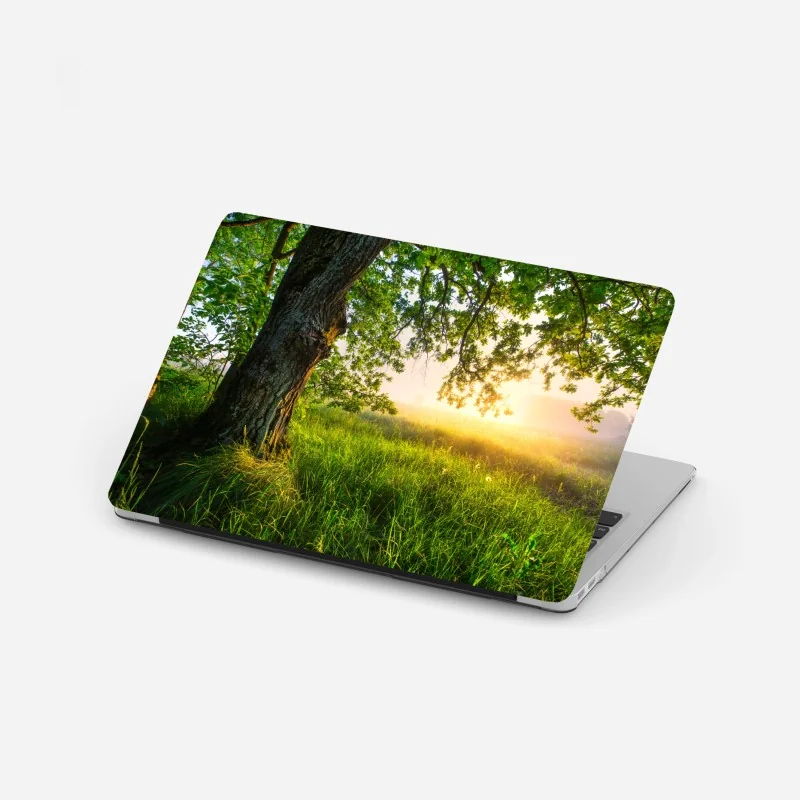 Naklejka na laptopa mglisty szronowy las – Wallissimo®