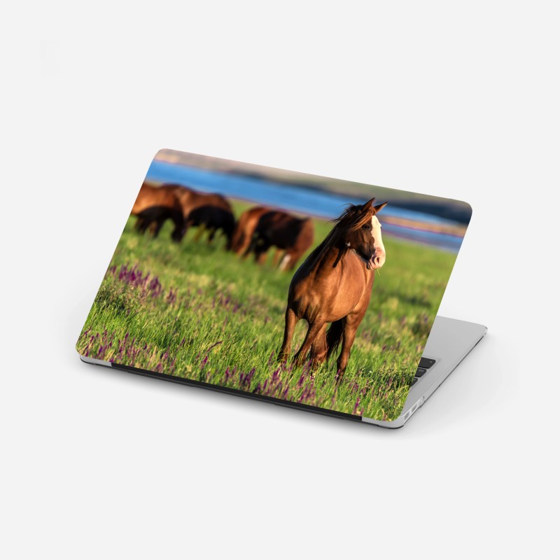 Naklejka na laptopa pole czerwonych maków – Wallissimo®