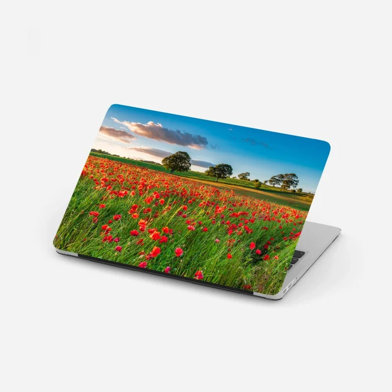 Naklejka na laptopa pole czerwonych maków koło Corbridge