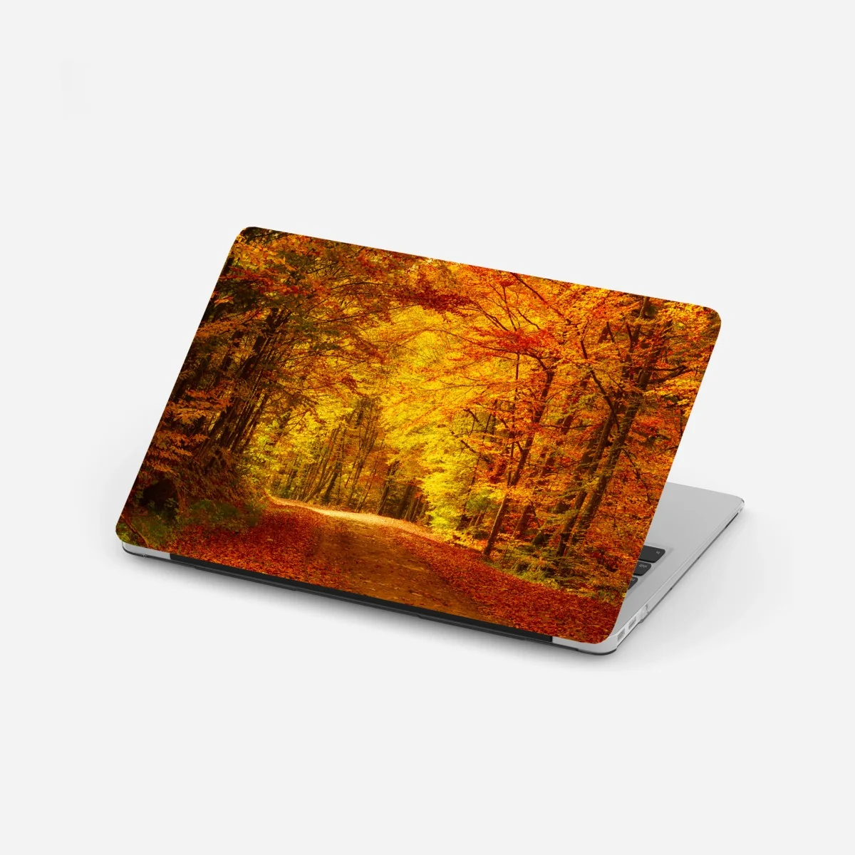 Naklejka na laptopa złota jesienna ścieżka w lesie – Wallissimo® Naklejka na laptopa złota jesienna ścieżka w lesie – Wallissimo®