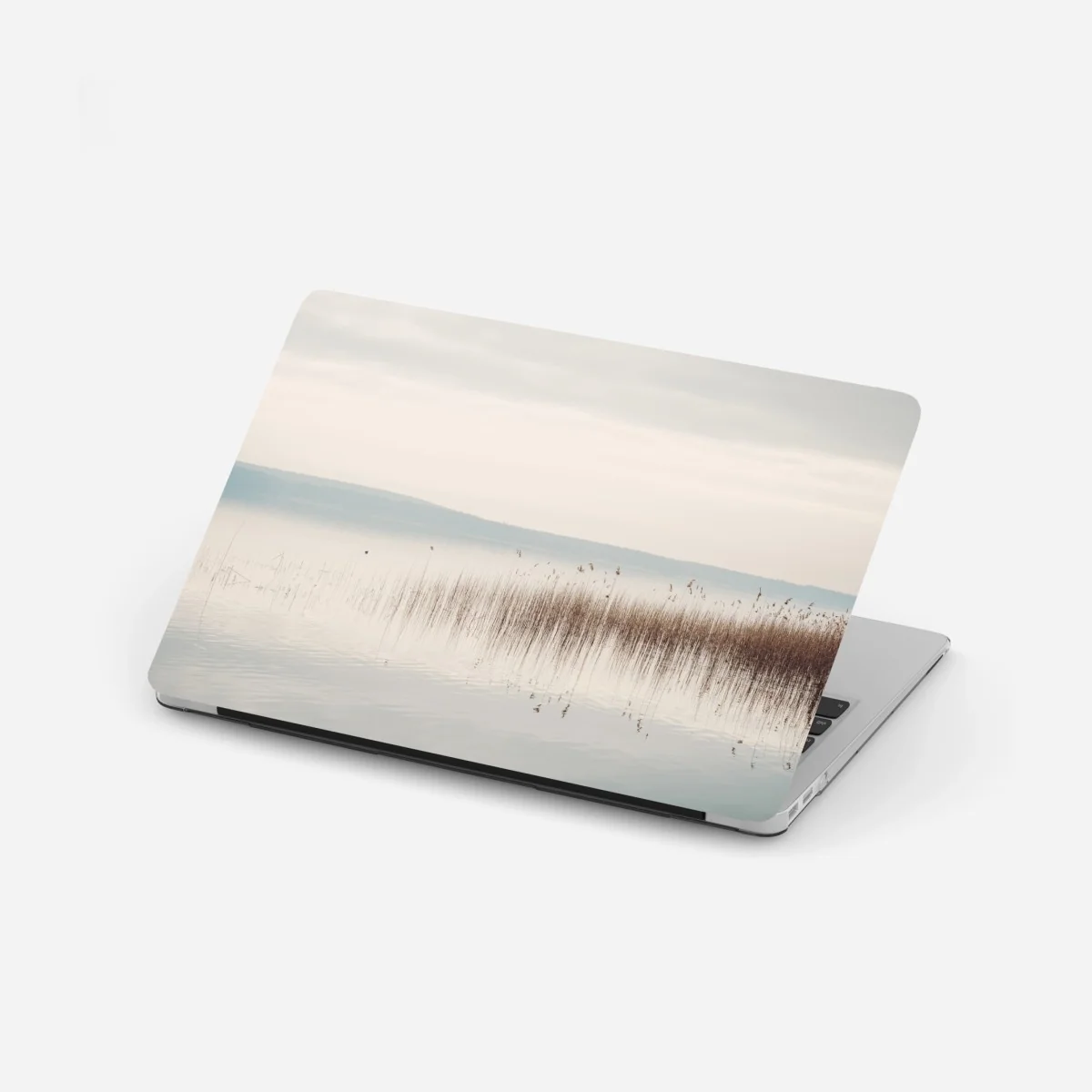 Naklejka na laptopa spokojne trzcinowisko nad jeziorem – Wallissimo® Naklejka na laptopa spokojne trzcinowisko nad jeziorem – Wallissimo®