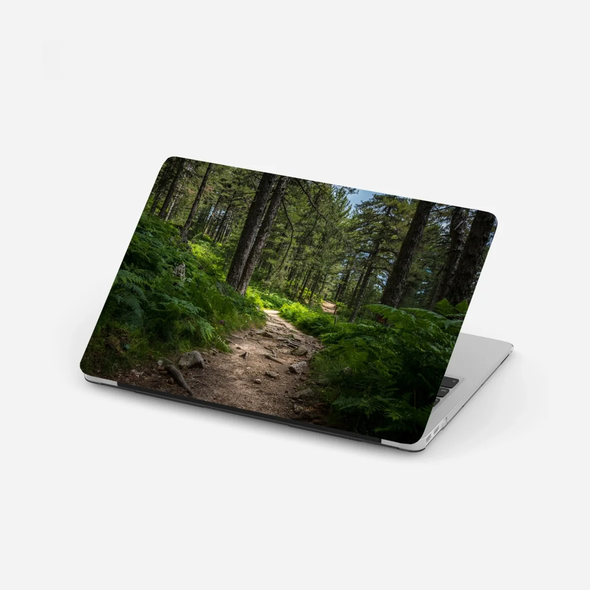 Naklejka na laptopa spokojna ścieżka leśna wśród bujnej zieleni – Wallissimo® Naklejka na laptopa spokojna ścieżka leśna wśród bujnej zieleni – Wallissimo®