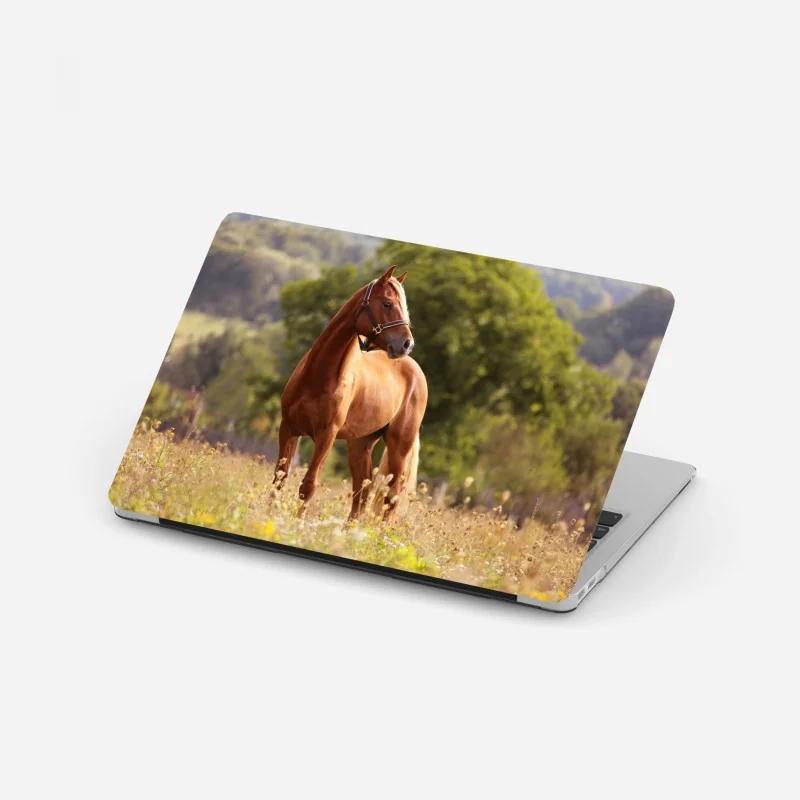 Naklejka na laptopa pastelowe magnolie na beżowym tle – Wallissimo®