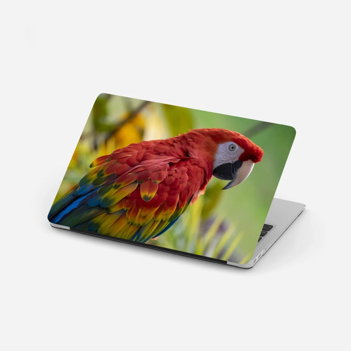 Naklejka na laptopa wyrazisty portret ary szkarłatnej – Wallissimo® Naklejka na laptopa wyrazisty portret ary szkarłatnej – Wallissimo®