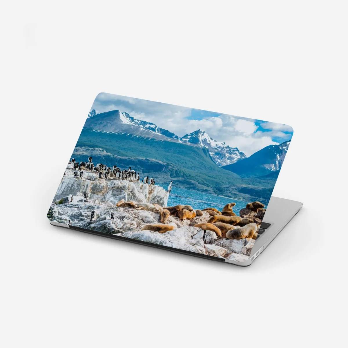 Naklejka na laptopa lwy morskie i ptaki na skalistym wybrzeżu – Wallissimo® Naklejka na laptopa lwy morskie i ptaki na skalistym wybrzeżu – Wallissimo®