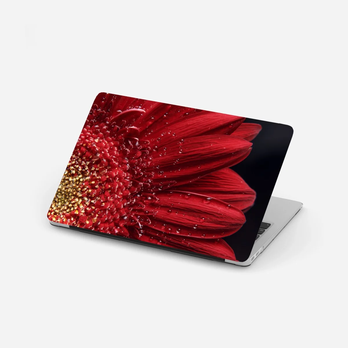 Naklejka na laptopa czerwona gerbera makro z kroplami rosy – Wallissimo® Naklejka na laptopa czerwona gerbera makro z kroplami rosy – Wallissimo®