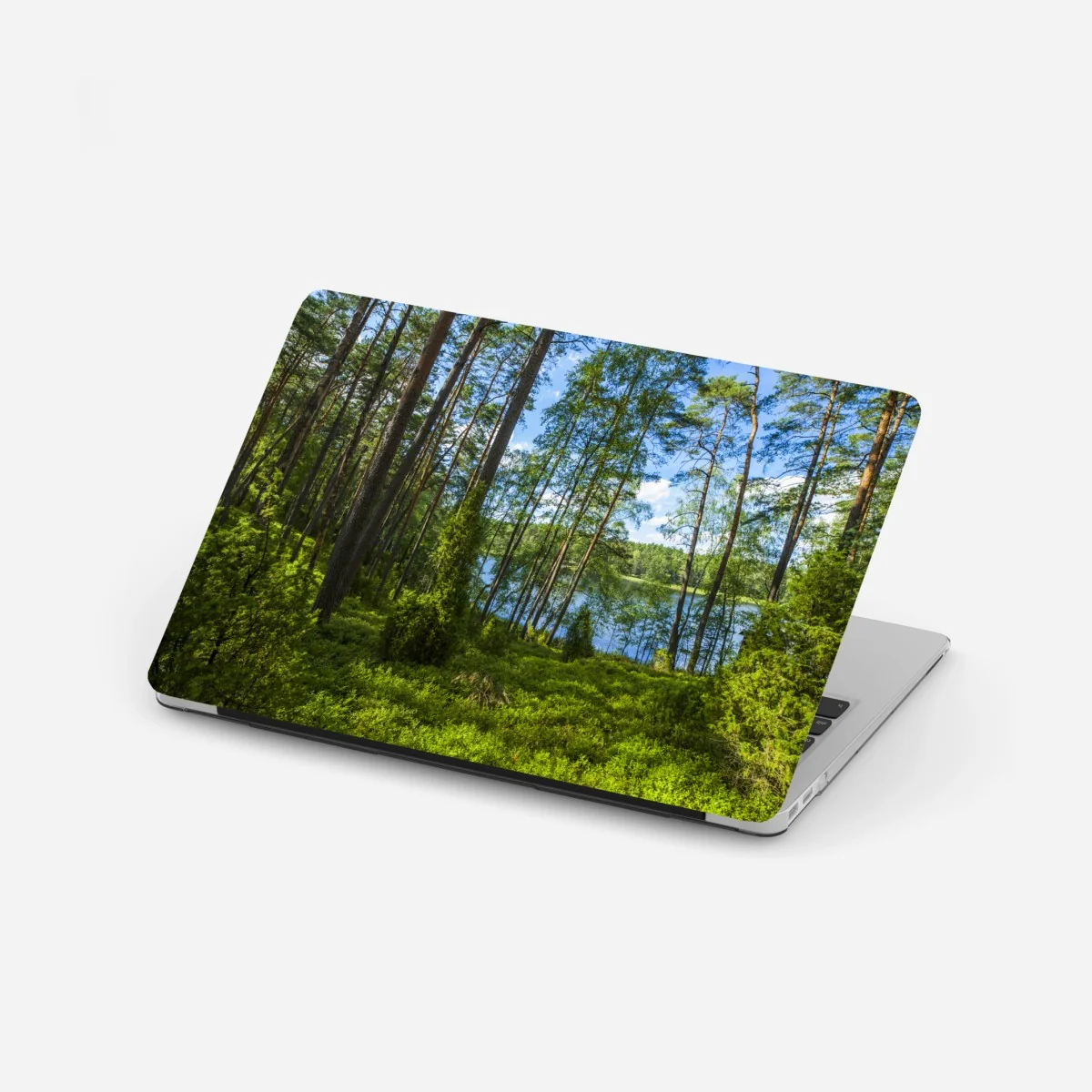 Naklejka na laptopa spokojny las sosnowy nad jeziorem – Wallissimo® Naklejka na laptopa spokojny las sosnowy nad jeziorem – Wallissimo®