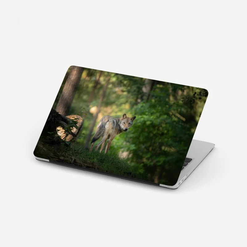 Naklejka na laptopa wilk w leśnej polanie