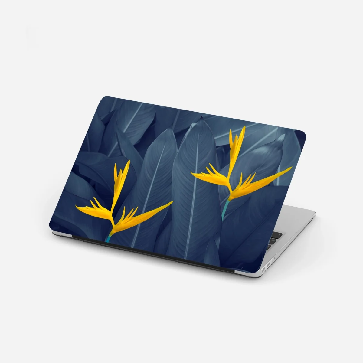 Naklejka na laptopa żółta strelicja na niebieskich liściach – Wallissimo® Naklejka na laptopa żółta strelicja na niebieskich liściach – Wallissimo®