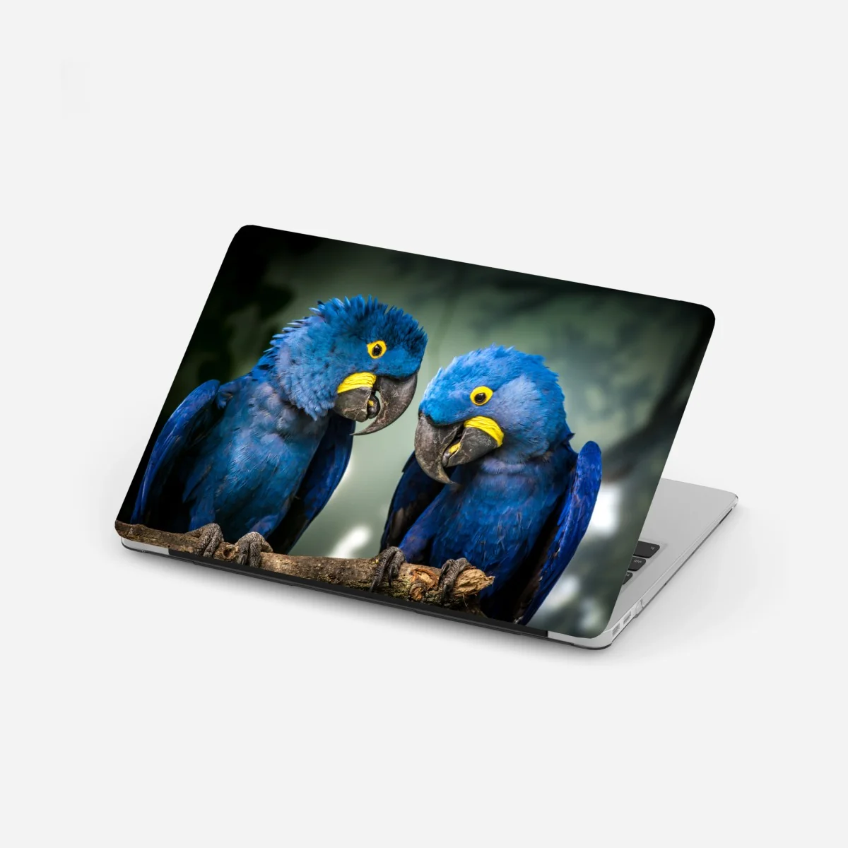 Naklejka na laptopa para niebieskich ary - portret z bliska – Wallissimo® Naklejka na laptopa para niebieskich ary - portret z bliska – Wallissimo®