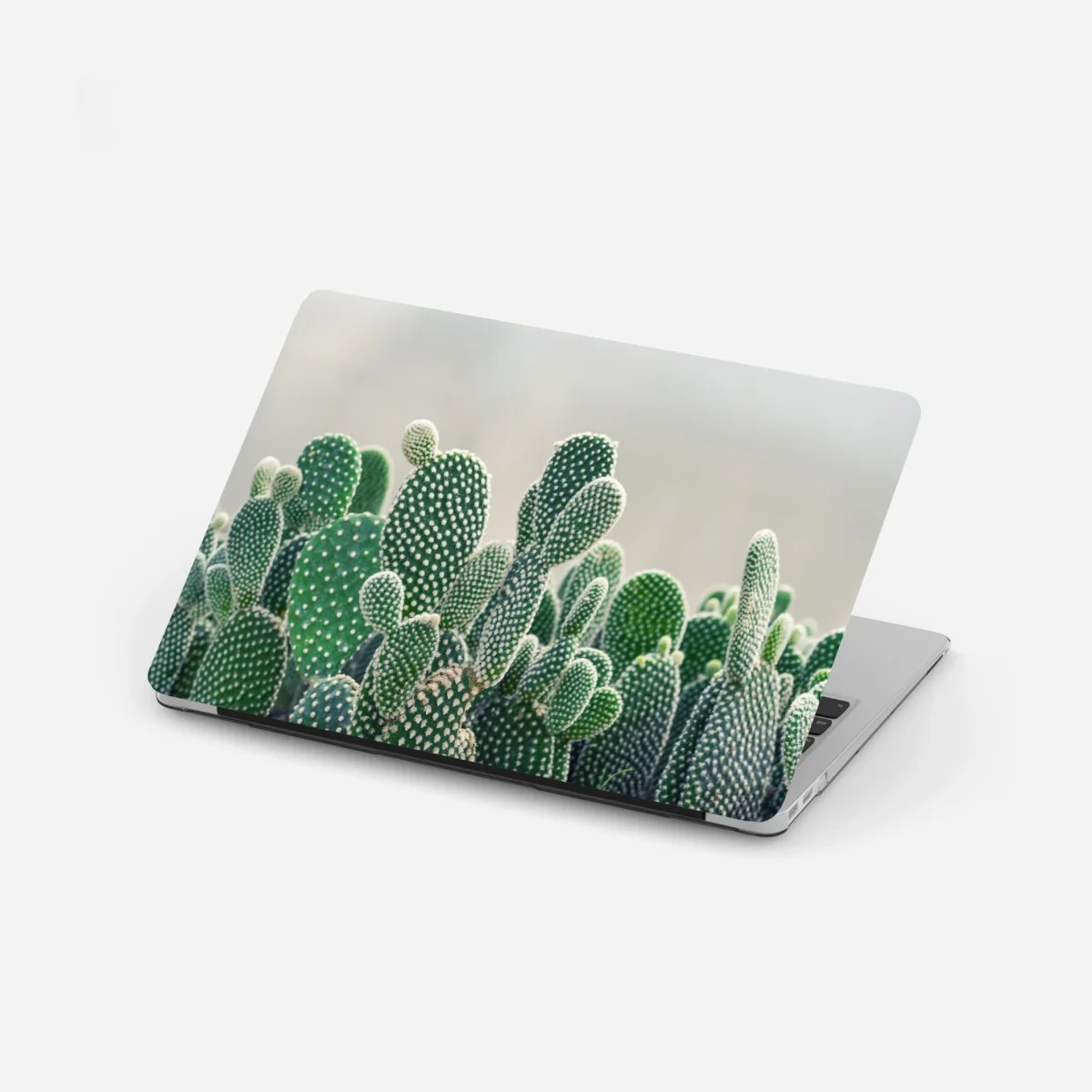 Naklejka na laptopa zbliżenie kaktusa opuncji – Wallissimo®