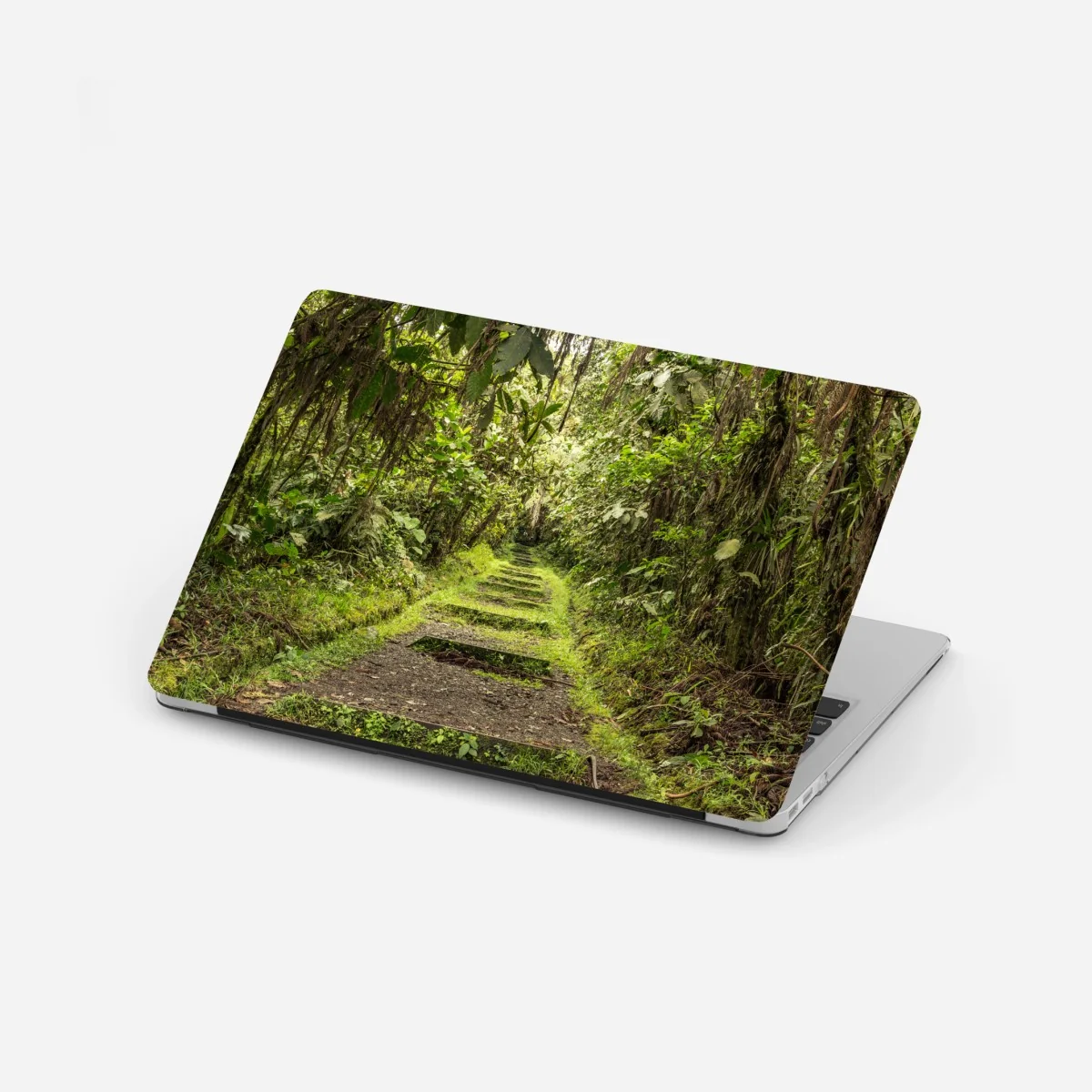 Naklejka na laptopa ścieżka przez bujną dżunglę – Wallissimo®