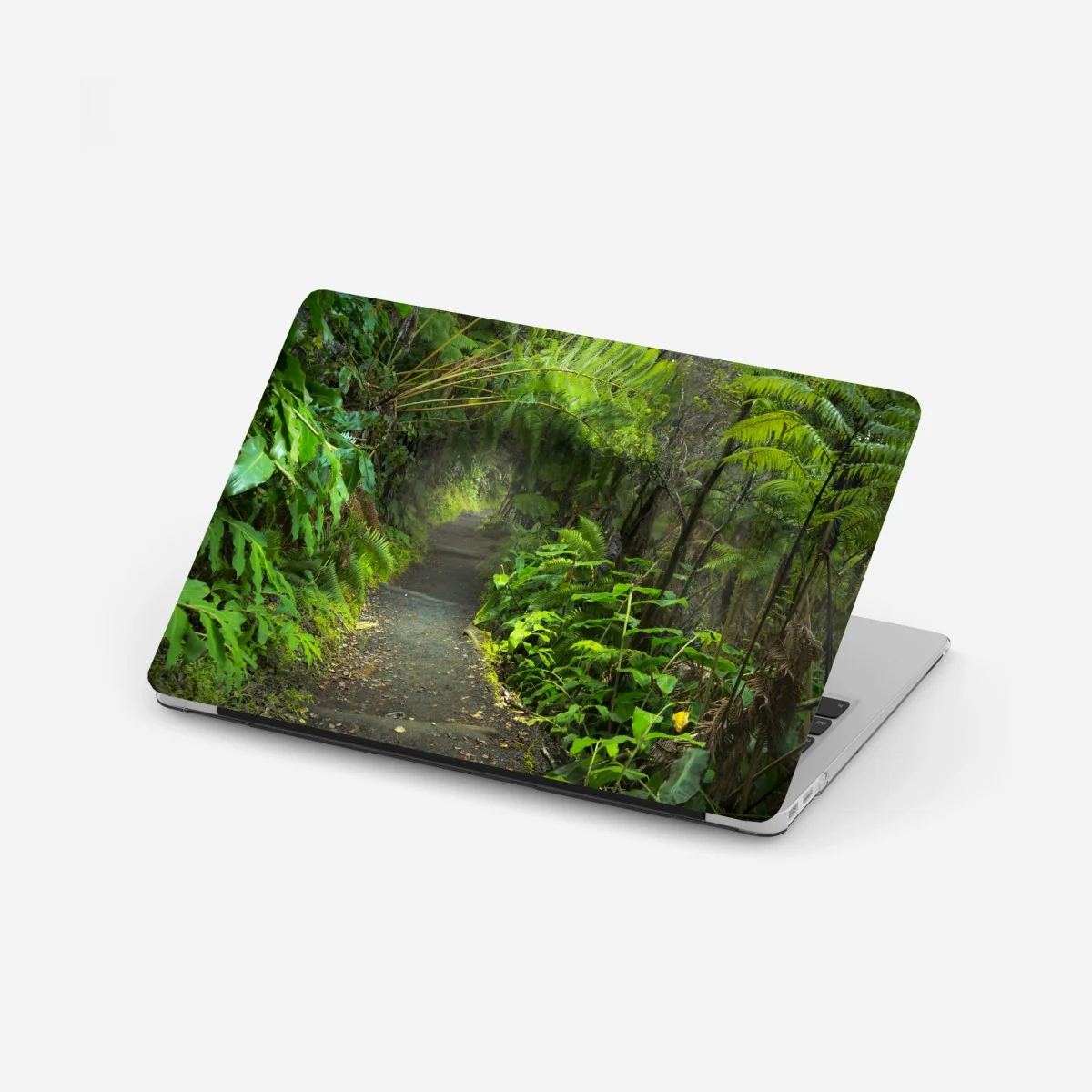 Naklejka na laptopa bujny las deszczowy na szlaku Kilauea Iki, Hawaje – Wallissimo® Naklejka na laptopa bujny las deszczowy na szlaku Kilauea Iki, Hawaje – Wallissimo®