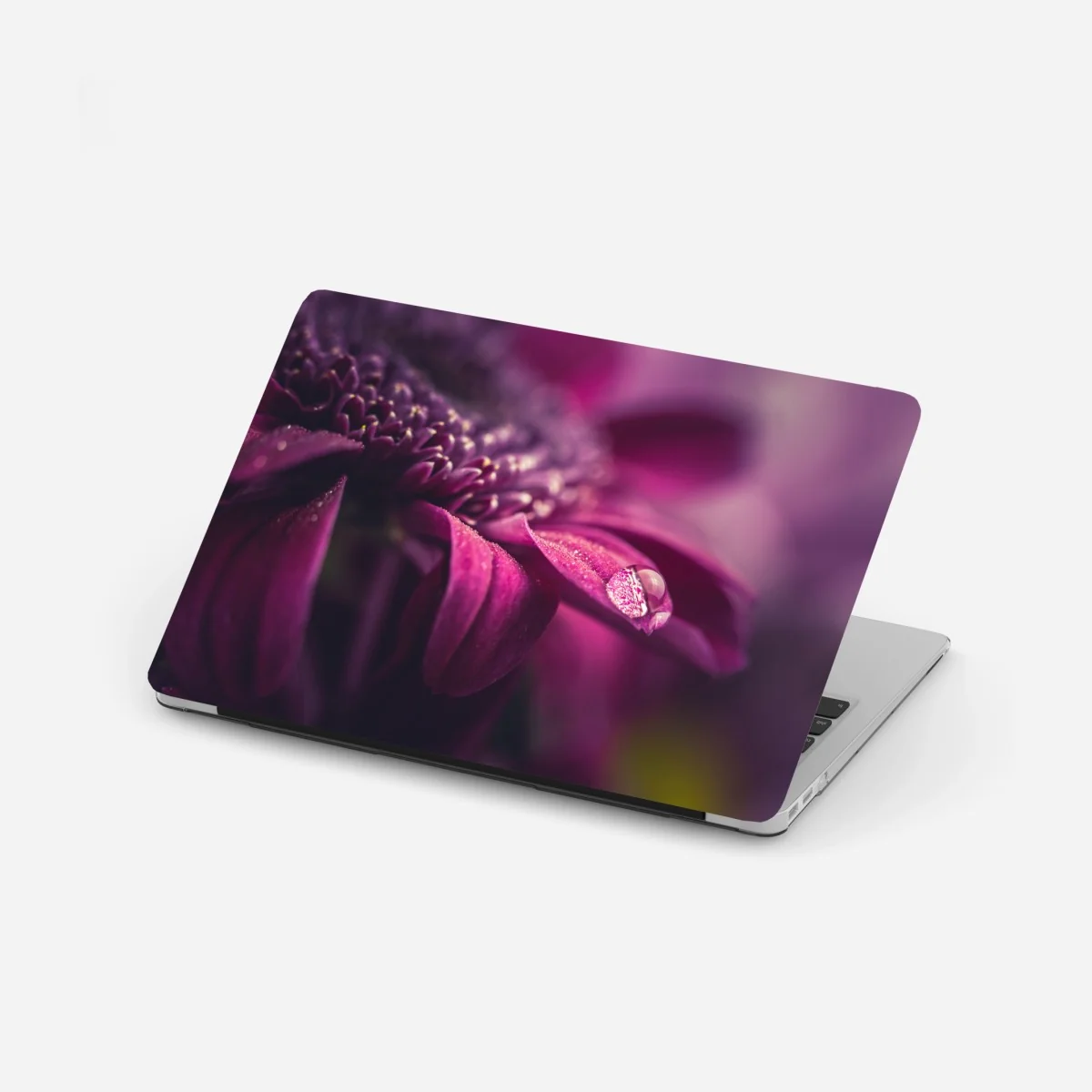 Naklejka na laptopa fioletowy makro kwiat z kroplą rosy – Wallissimo® Naklejka na laptopa fioletowy makro kwiat z kroplą rosy – Wallissimo®