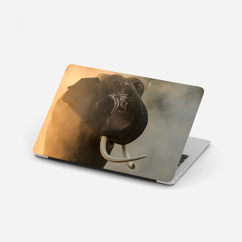 Naklejka na laptopa jesienny las ze złotą ścieżką – Wallissimo®