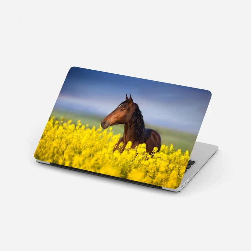 Naklejka na laptopa turkusowa zatoka na plaży Papagayo – Wallissimo®