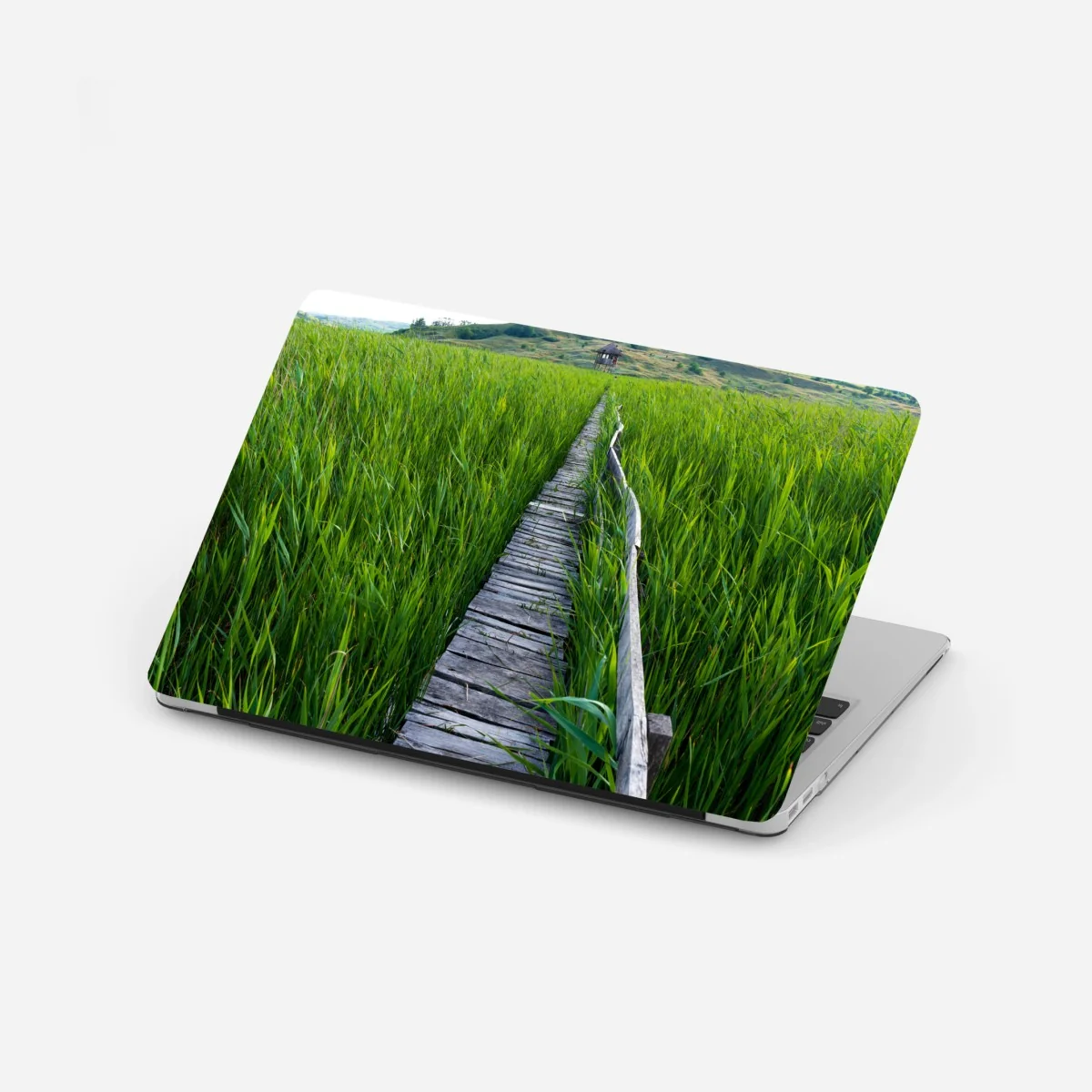 Naklejka na laptopa spokojny zielony pomost przez trzcinowisko do rustykalnej chaty – Wallissimo® Naklejka na laptopa spokojny zielony pomost przez trzcinowisko do rustykalnej chaty – Wallissimo®