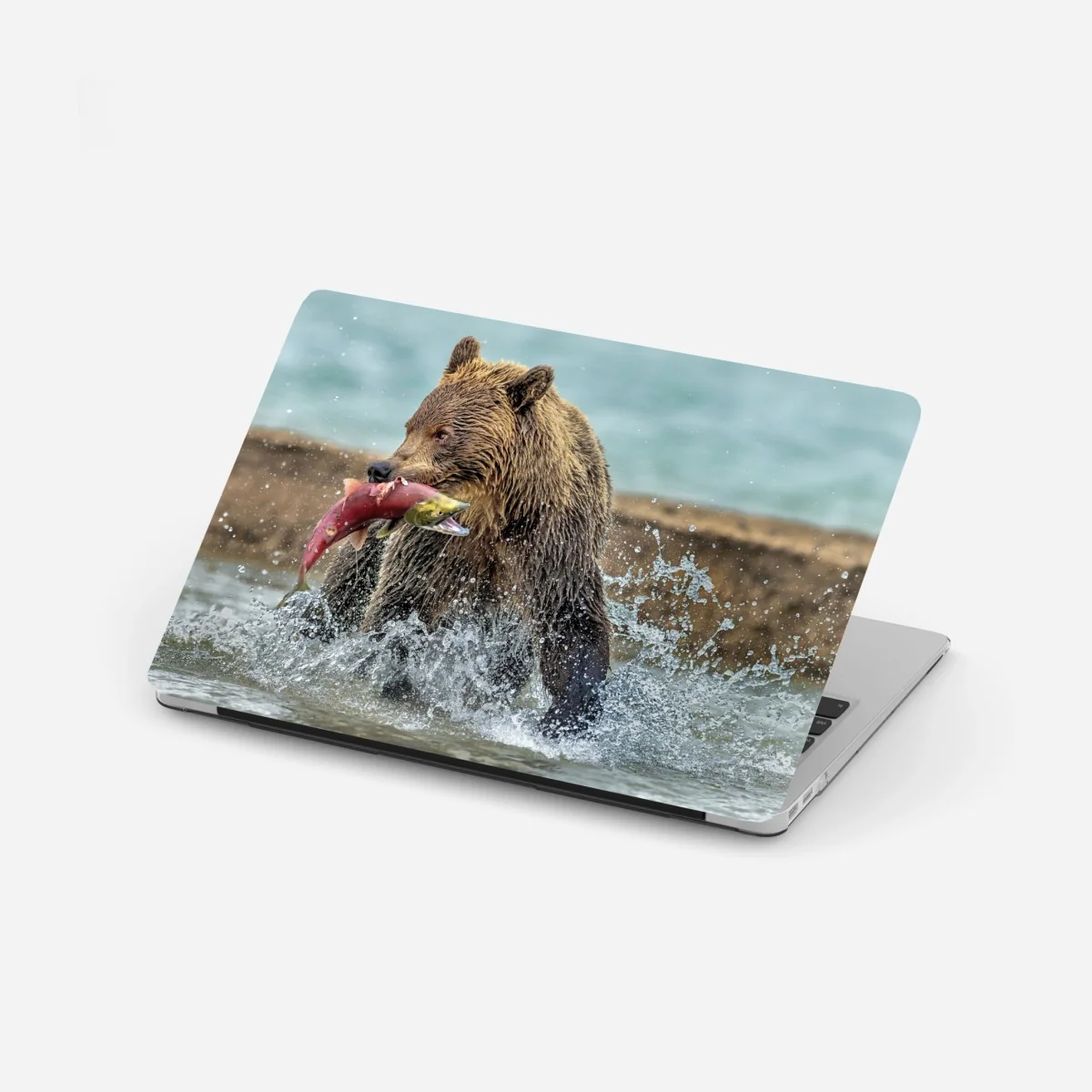 Naklejka na laptopa niedźwiedź łapiący łososia w rzece – Wallissimo® Naklejka na laptopa niedźwiedź łapiący łososia w rzece – Wallissimo®