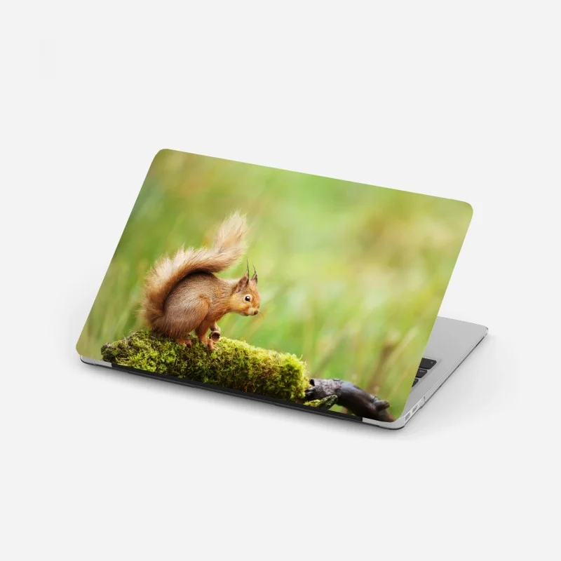 Naklejka na laptopa ruda wiewiórka na mchu