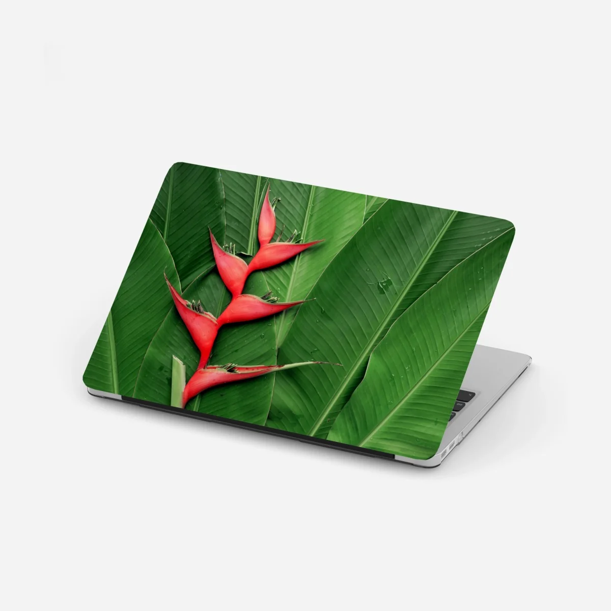 Naklejka na laptopa intensywna heliconia na tropikalnych liściach – Wallissimo®