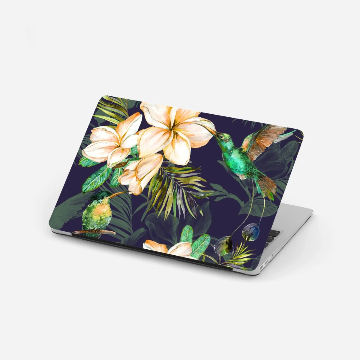 Naklejka na laptopa tropikalne kolibry i plumeria w akwareli – Wallissimo®