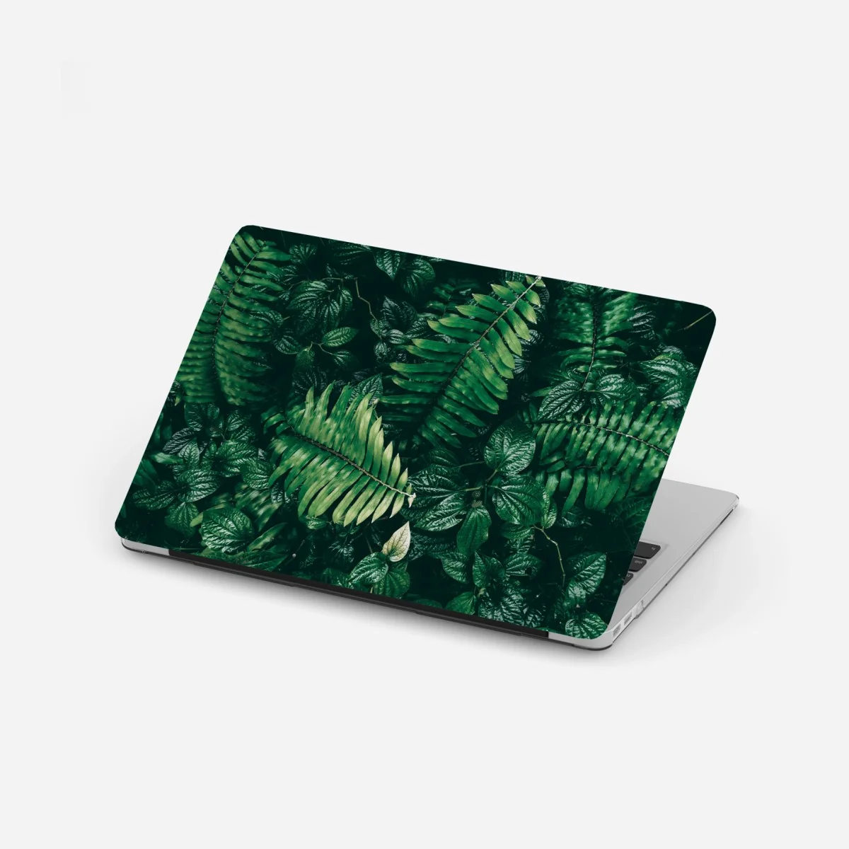 Naklejka na laptopa bujne tropikalne liście – Wallissimo®